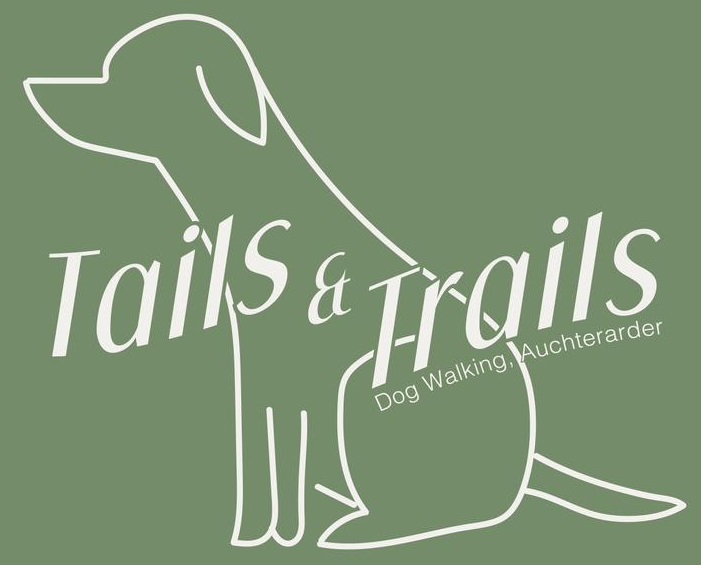 Dog walker auchterarder